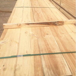 4米辐射松建筑方木加工 辐射松建筑方木批发价格 顺通木业